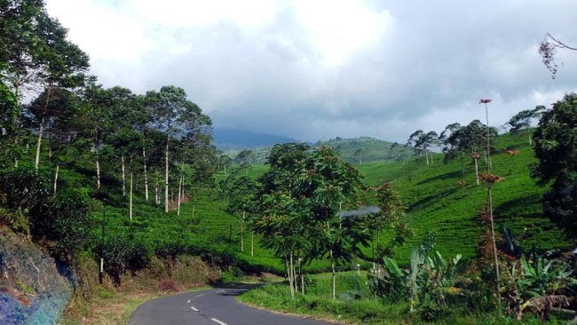 9b2f2902-434b-467d-a01e-879db9c175fd_169