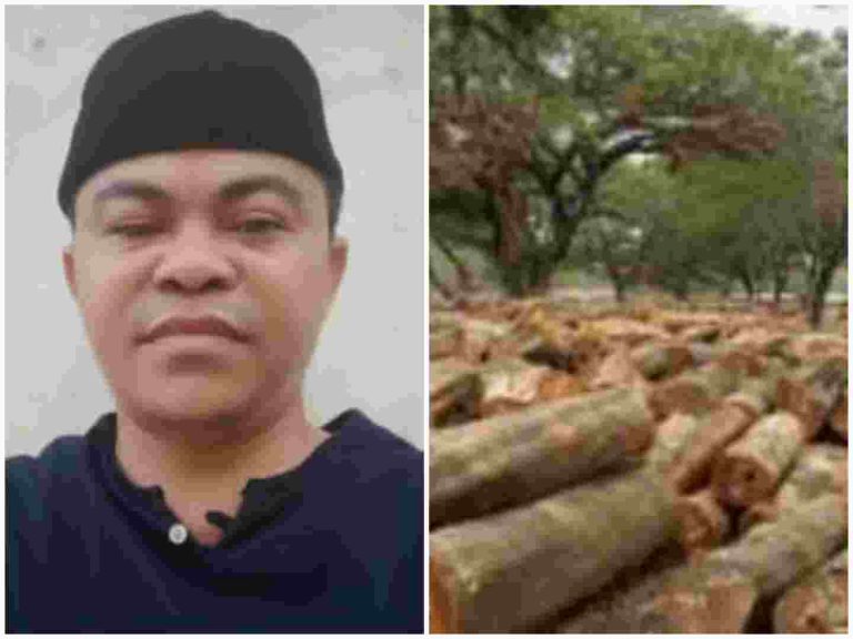 Collage_20220801_055523_compress98