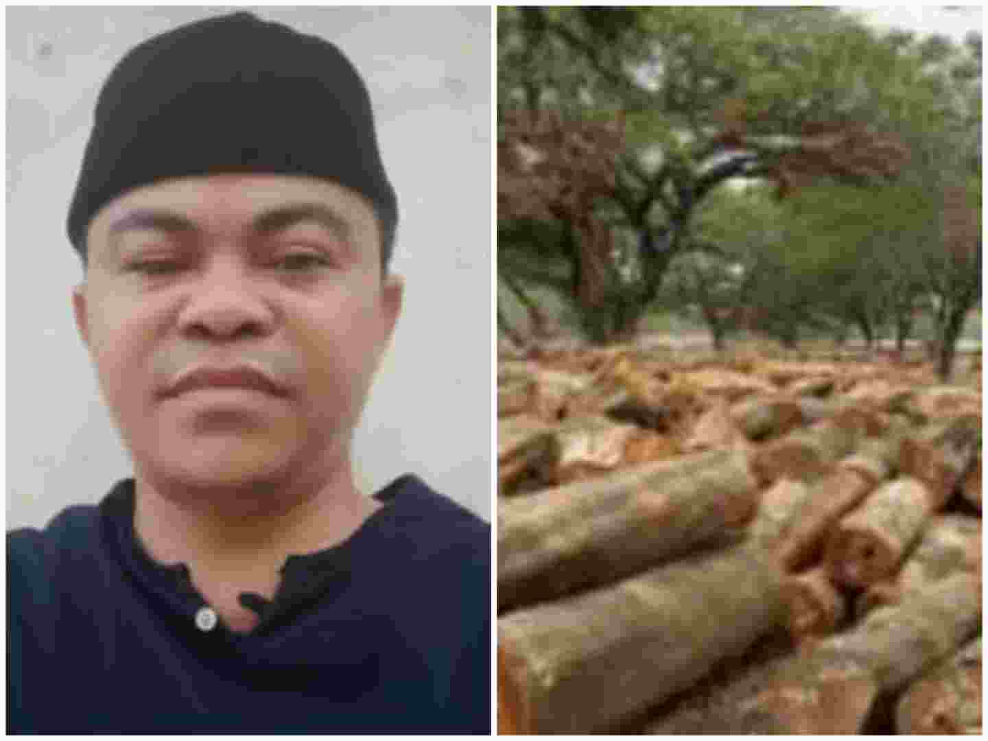 Collage_20220801_055523_compress98