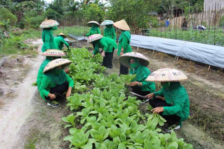 IMG-20220804-WA0050_compress31