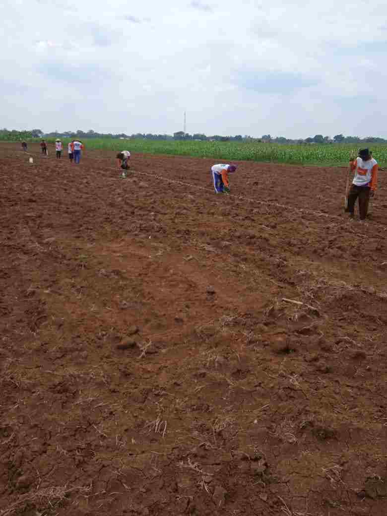 IMG-20221103-WA0096_compress97