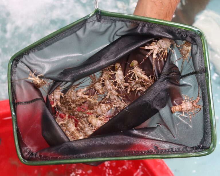 WhatsApp_Image_2024-04-23_at_12_01_25