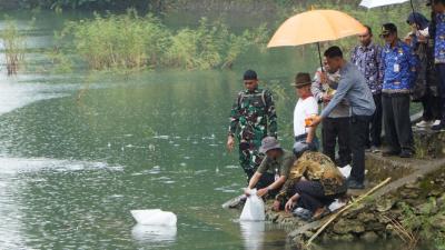 c2f3c33d2fca68f42ad84df7c0e90283IMG-20240425-WA0162