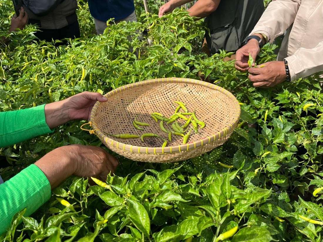 1715171498-WhatsApp-Image-2024-05-07-at-8.43.29-PM