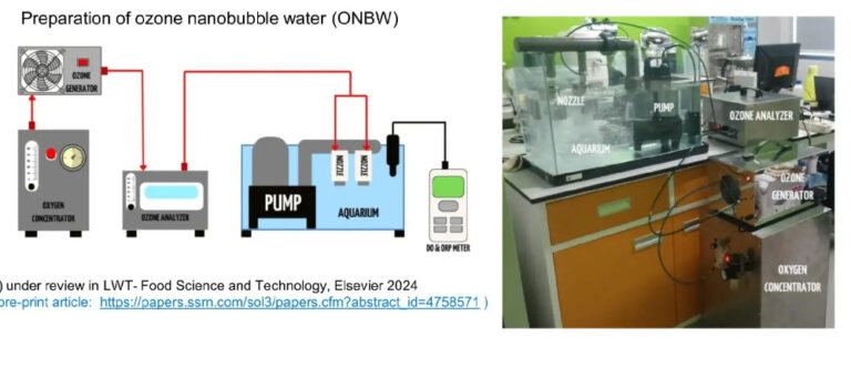 Screenshot_2024-05-21_130226