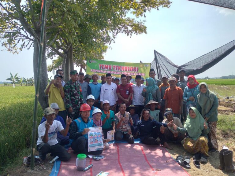 WhatsApp-Image-2024-06-06-at-18.36.09