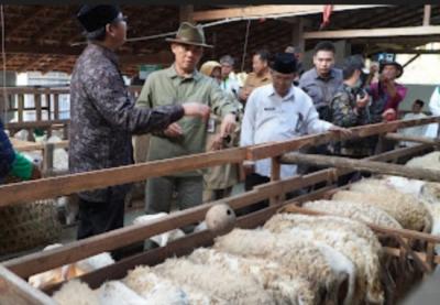 be568f8574496f3264c3bc557341aa70IMG_20240610_175528