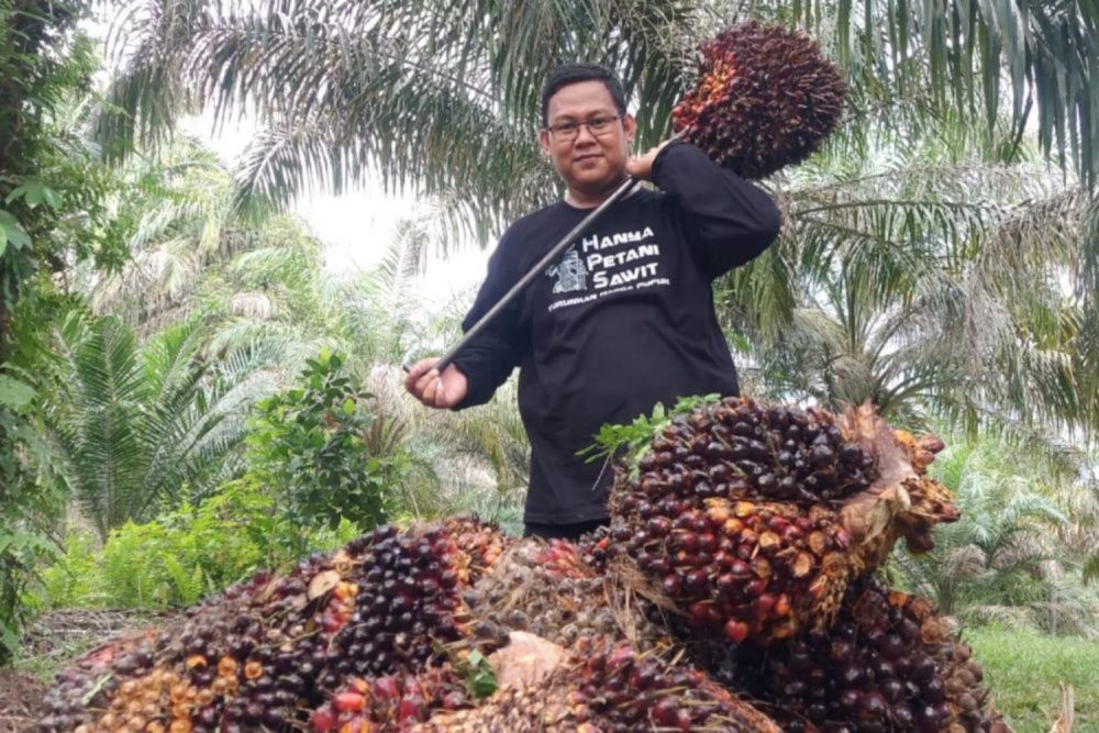 cek-daftar-harga-kelapa-sawit-mitra
