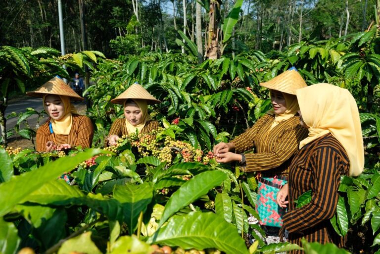 IMG-20240730-WA0025-2-1024x684