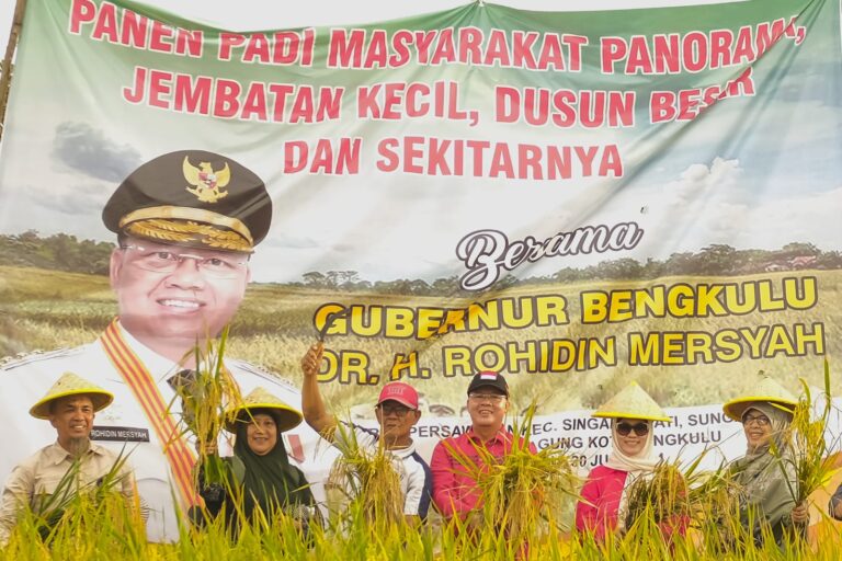 WhatsApp-Image-2024-06-30-at-23.16.38