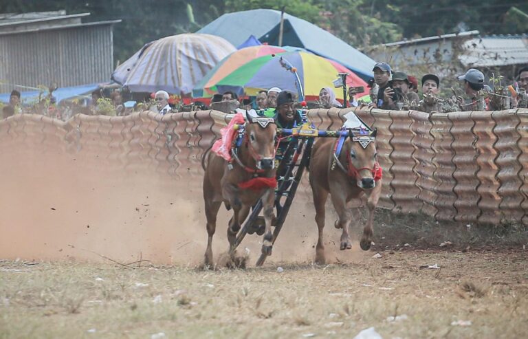 8320b1a870fd41f341851990654c49b20e61a4d2