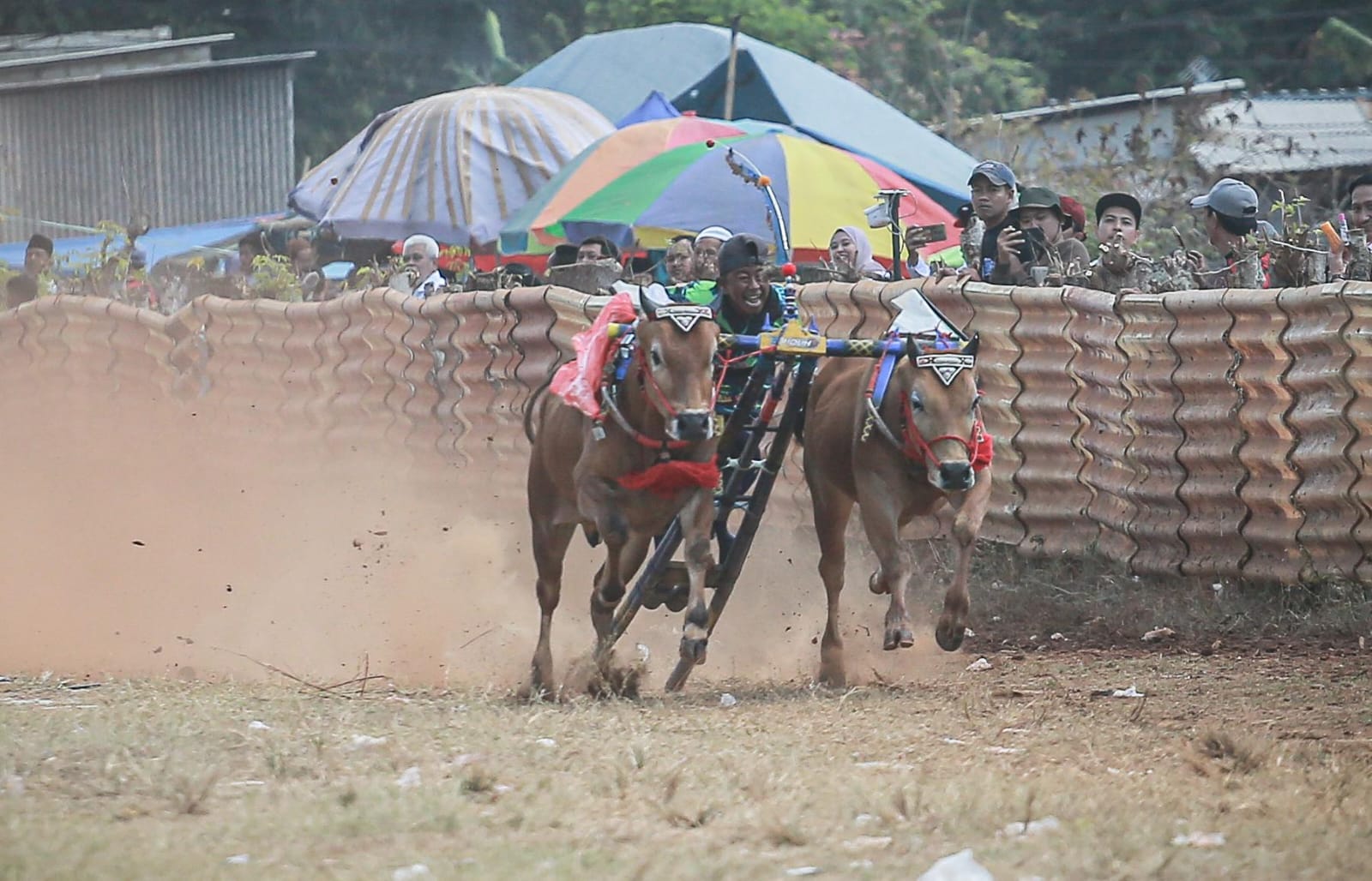 8320b1a870fd41f341851990654c49b20e61a4d2