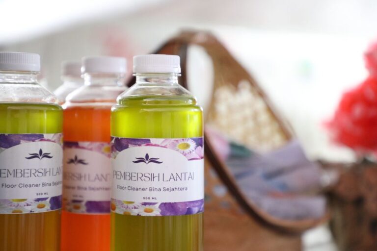 IMG-20240819-WA0162-1024x682