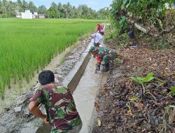 IMG-20240829-WA0088-250x190