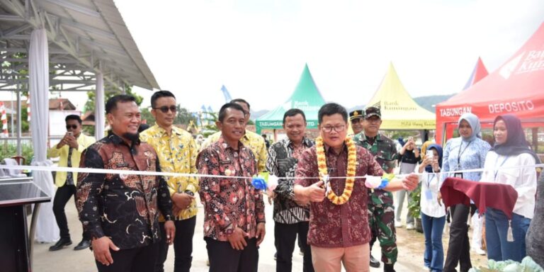 WhatsApp-Image-2024-08-29-at-12.05.18-1140x570