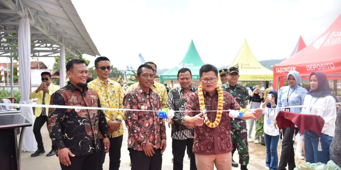 WhatsApp-Image-2024-08-29-at-12.05.18-1140x570