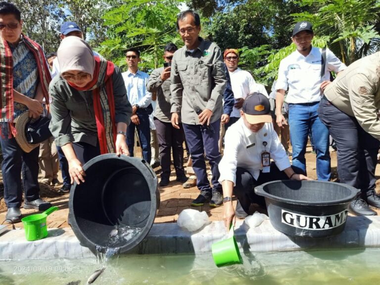 66ebe60296b7d_1726735874