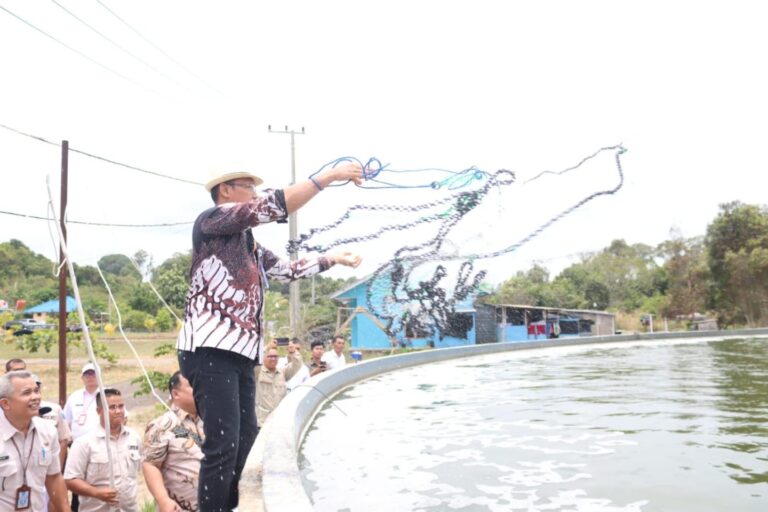 0090b8b0-5c23-4956-a825-d8014556b280