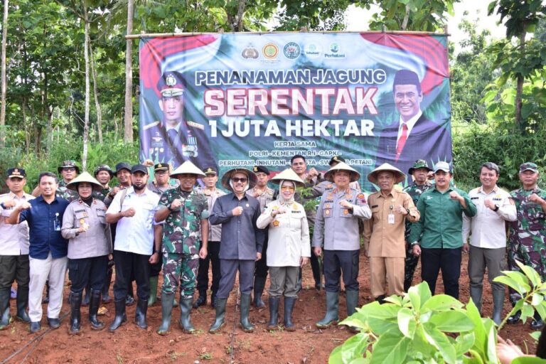 21-jan-25-tanam-jagung-2