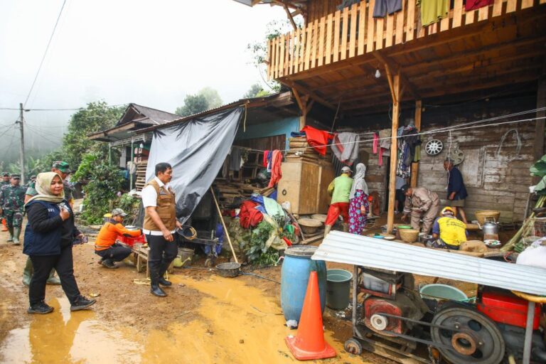 IMG-20250122-WA0115-1024x683