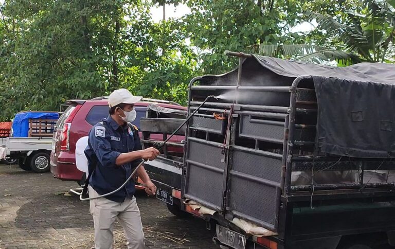 WhatsApp-Image-2025-01-09-at-09.11.41