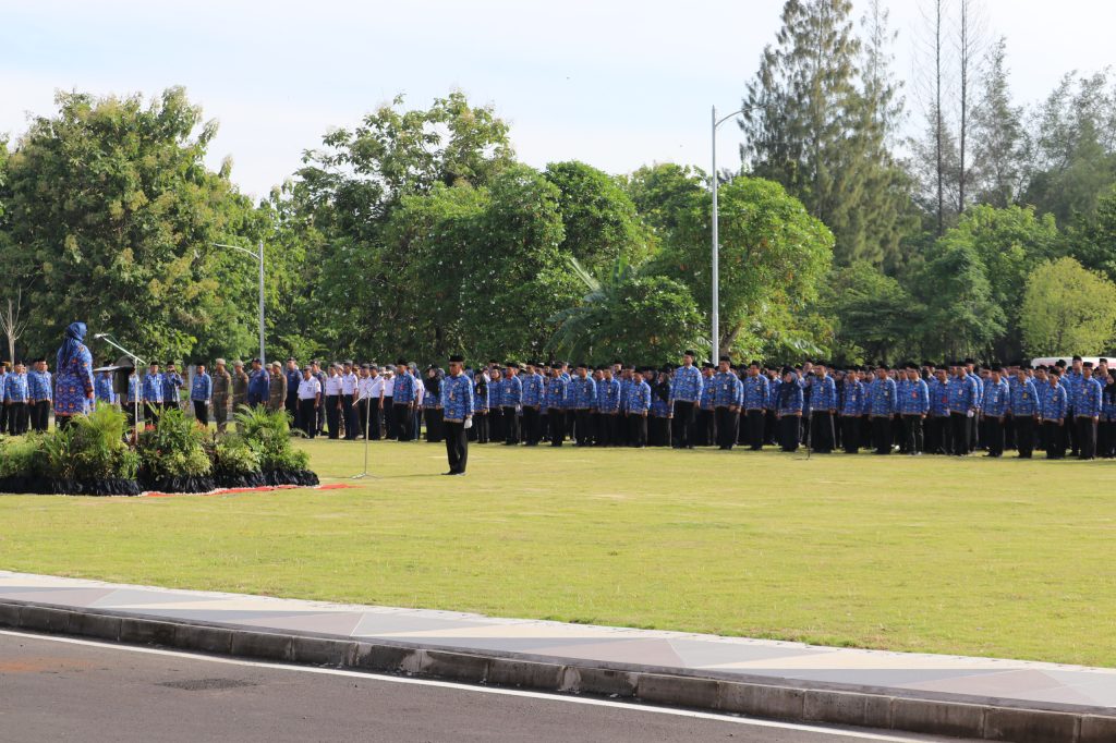 WhatsApp-Image-2025-01-17-at-10.16.08-1024x682