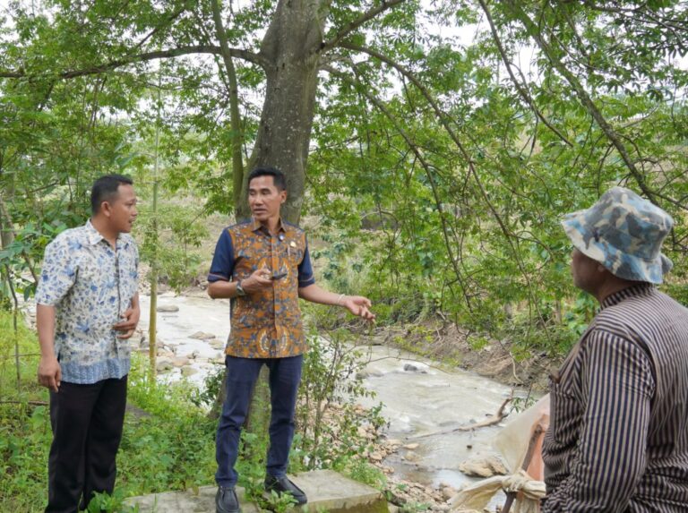 WhatsApp-Image-2025-02-25-at-17.50.28-1024x764