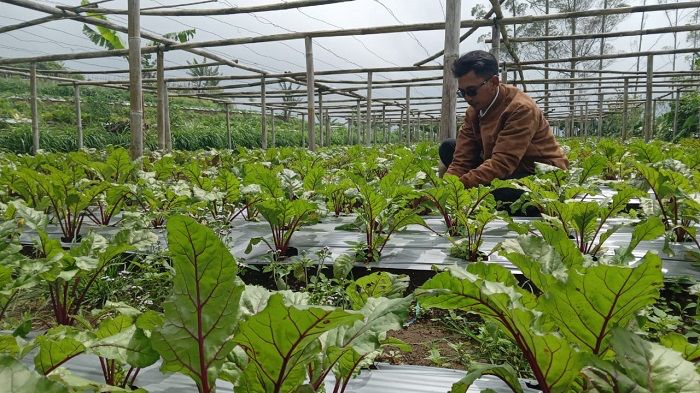 WhatsApp-Image-2025-04-10-at-10.10.33