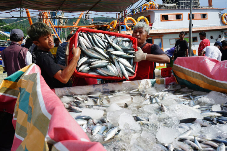 WhatsApp_Image_2025-04-14_at_08_59_10