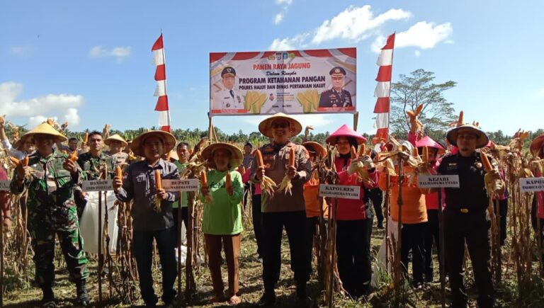 IMG-20250512-WA0018-1