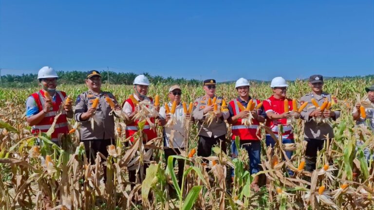 IMG-20250515-WA0008-5-1024x576