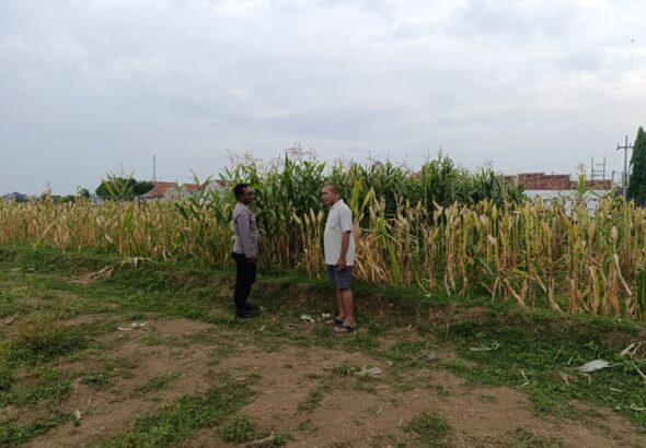 WhatsApp Image 2026-06-13 at 10.57.08