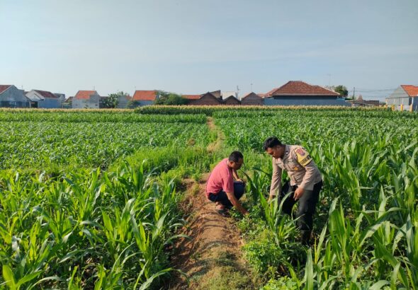 IMG-20260703-WA0001