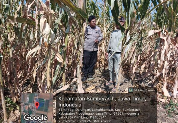 WhatsApp Image 2026-07-27 at 10.31.28 (1)